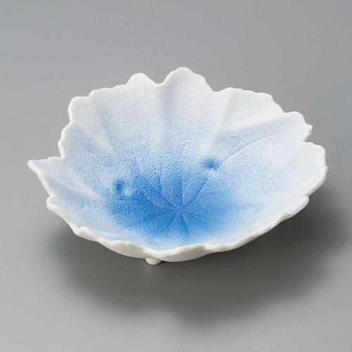 04515-541 白藍吹木の葉向付|業務用食器カタログ陶里30号