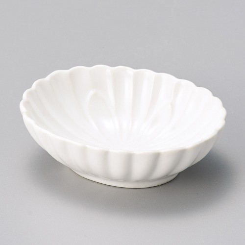 15920-291 白小判菊珍味|業務用食器カタログ陶里30号