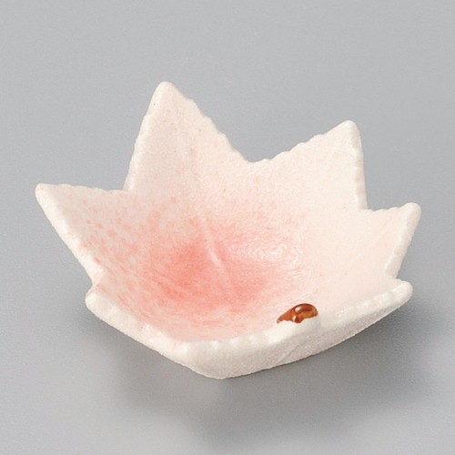 16314-251 桜志野カエデ珍味|業務用食器カタログ陶里30号