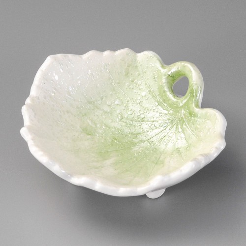 17011-181 ヒワラスター葵鉢|業務用食器カタログ陶里30号