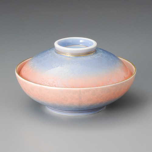 19206-331 銀彩二色吹春秋平蓋向|業務用食器カタログ陶里30号