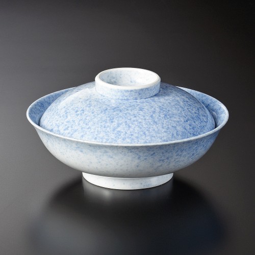 19308-451 吹墨平蓋向|業務用食器カタログ陶里30号