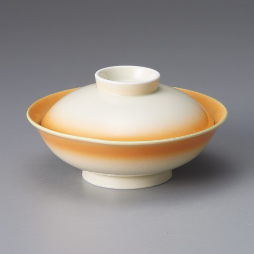 19314-321 黄彩平平蓋向|業務用食器カタログ陶里30号