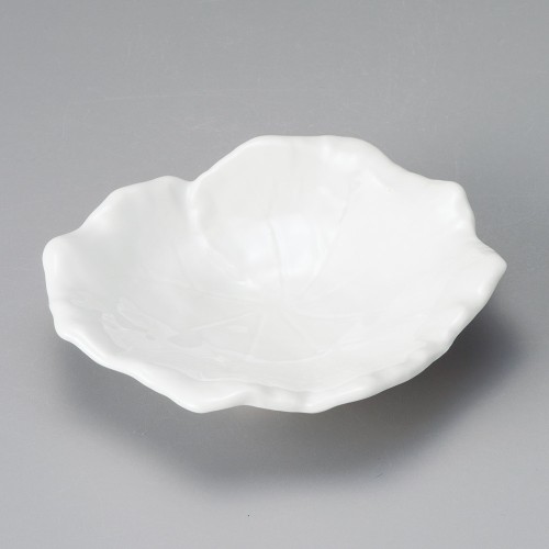 39706-181 アイランド芙蓉葉5.0皿|業務用食器カタログ陶里30号