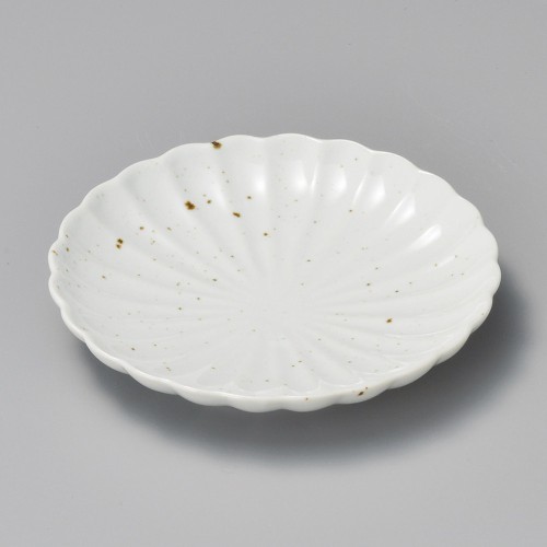 41606-161 ワラ白釉ひな菊4.0皿|業務用食器カタログ陶里30号