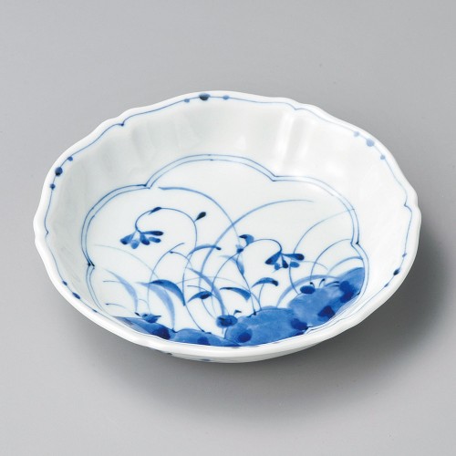 41662-361 高麗草花5.0深皿|業務用食器カタログ陶里30号
