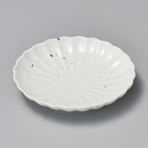 41605-161 ワラ白釉ひな菊3.5皿|業務用食器カタログ陶里30号