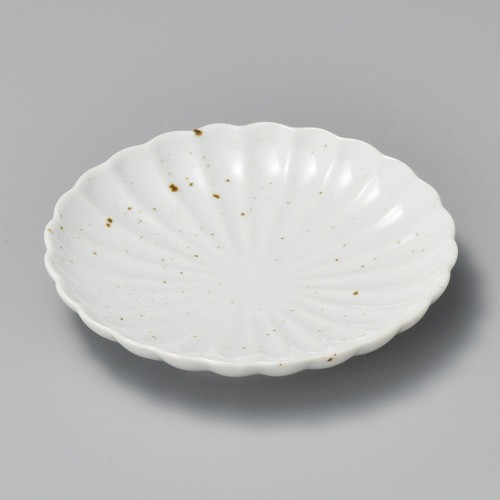 41607-161 ワラ白釉ひな菊5.0皿|業務用食器カタログ陶里30号