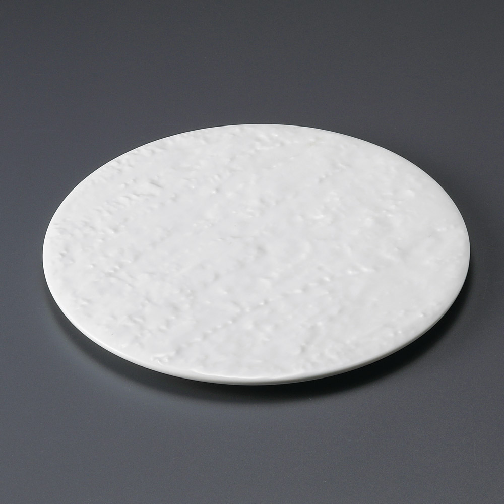 30404-461 白磁石肌丸24㎝皿|業務用食器カタログ陶里31号