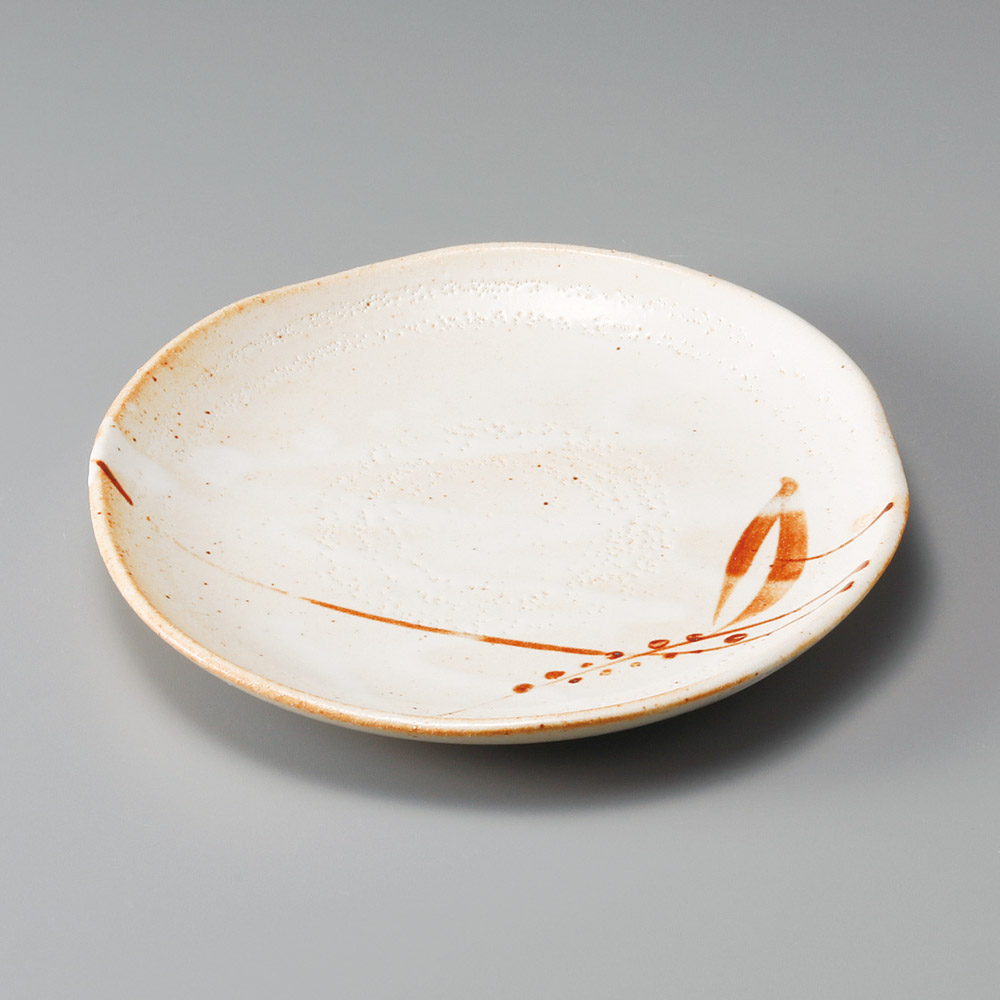 31302-571 白志野芦菊型7.0皿|業務用食器カタログ陶里31号