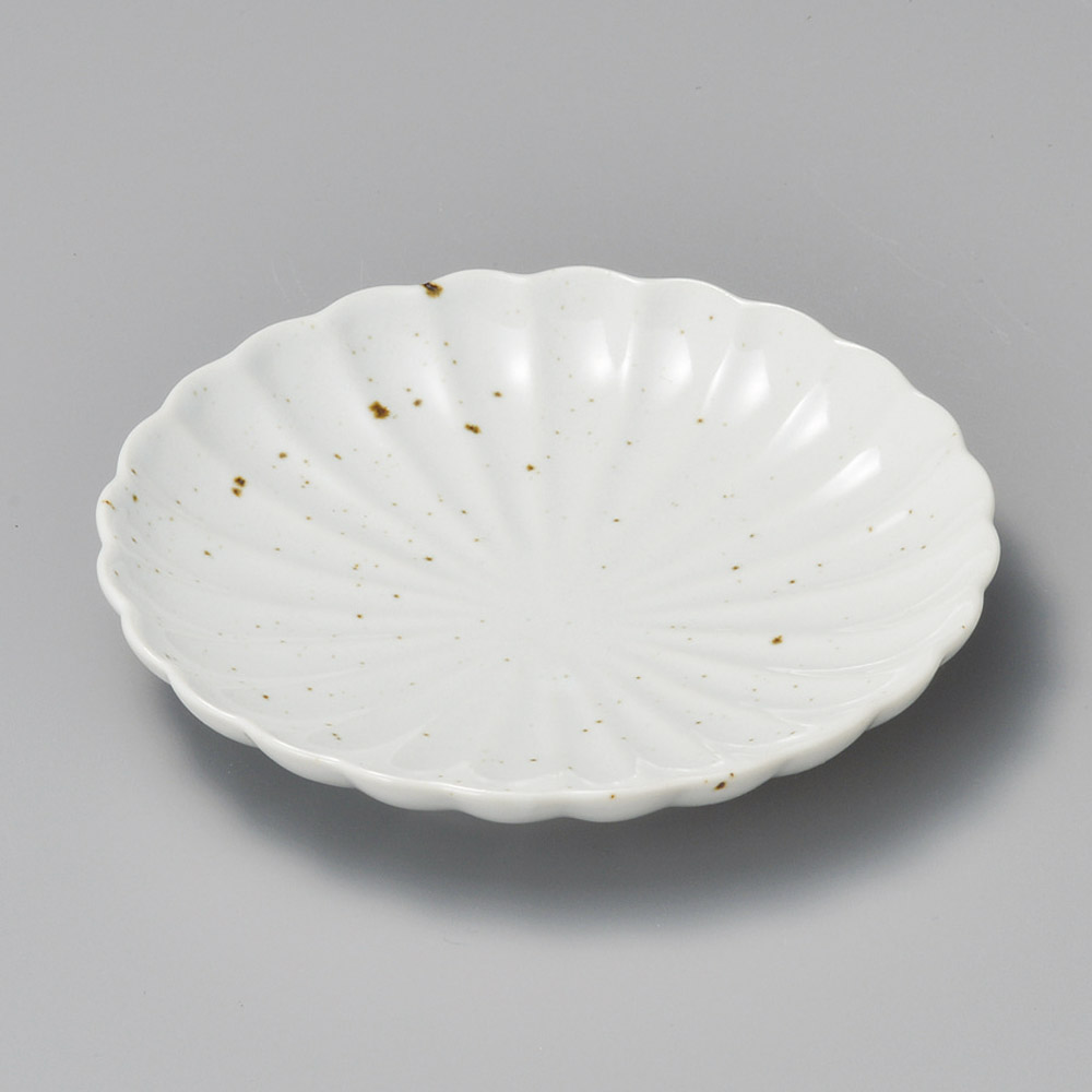41607-161 ワラ白釉ひな菊5.0皿|業務用食器カタログ陶里31号